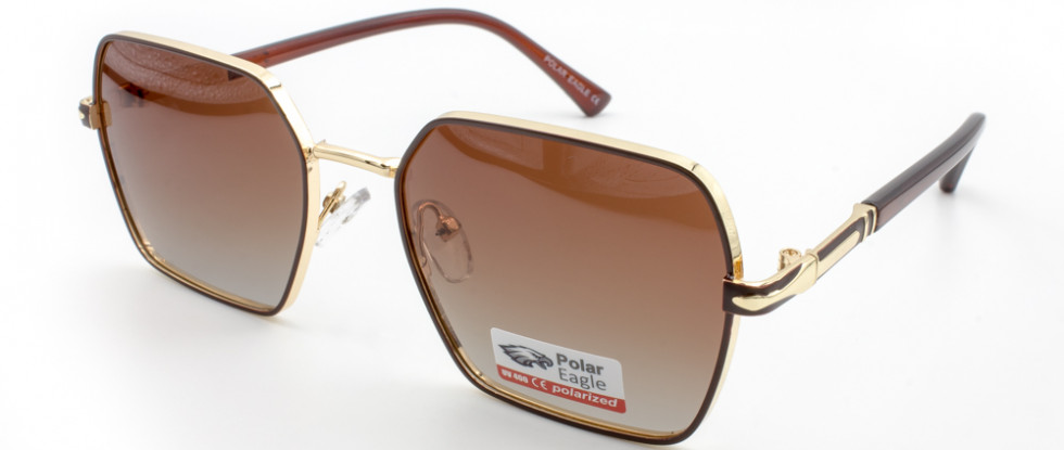 POLAR EAGLE 06304 C2