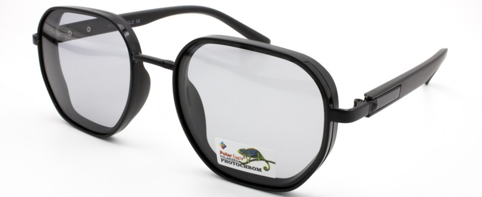 POLAR EAGLE 06137 C1