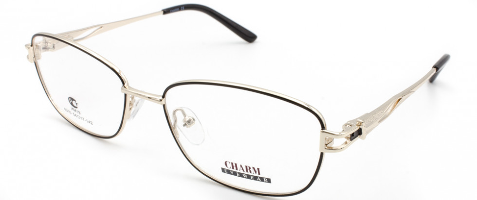 CHARM 4010 C3