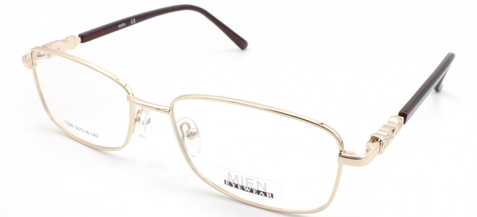 MIEN 7296 C2