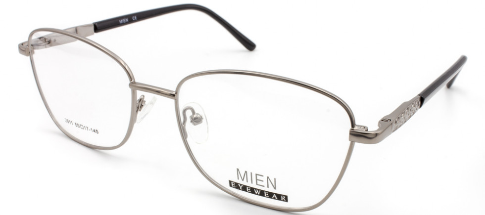 MIEN 2011 C85B