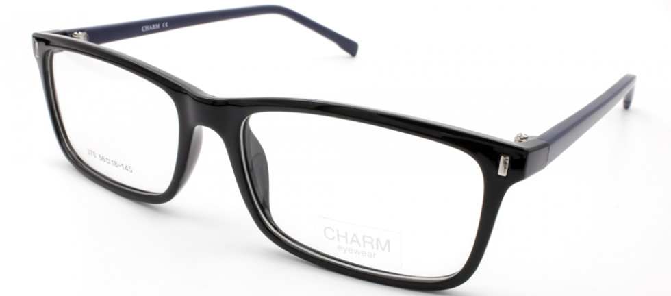 CHARM 370 C6