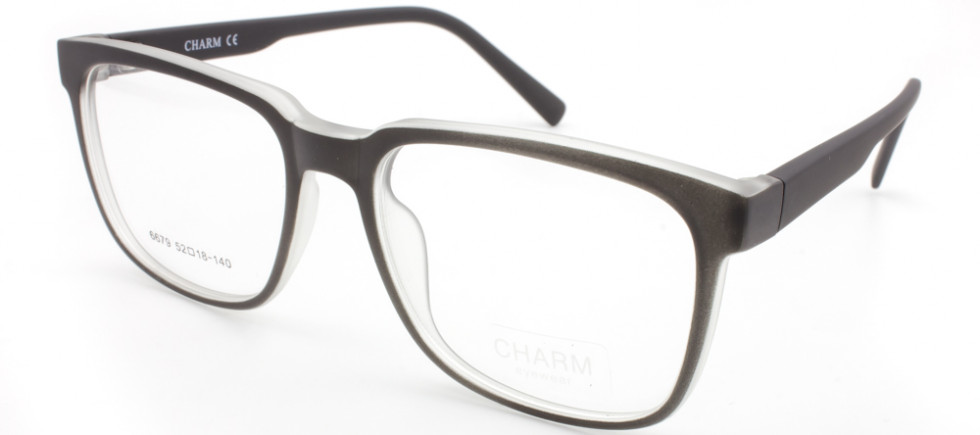 CHARM 6679 C5