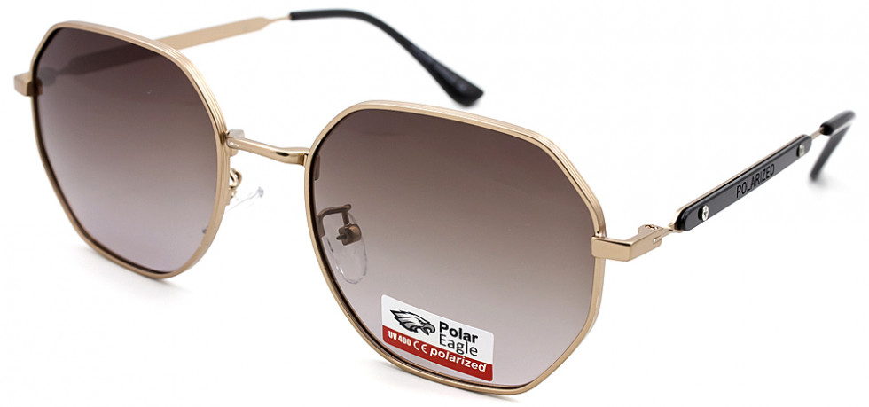 POLAR EAGLE 06315 C5