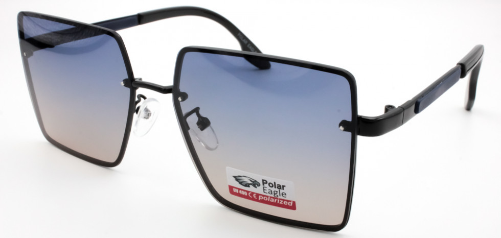 POLAR EAGLE 06332 C6
