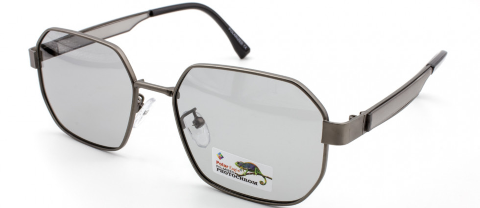 POLAR EAGLE 06117 C3