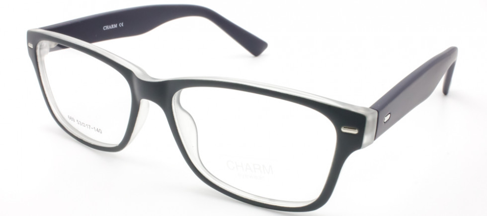 CHARM 669 C2