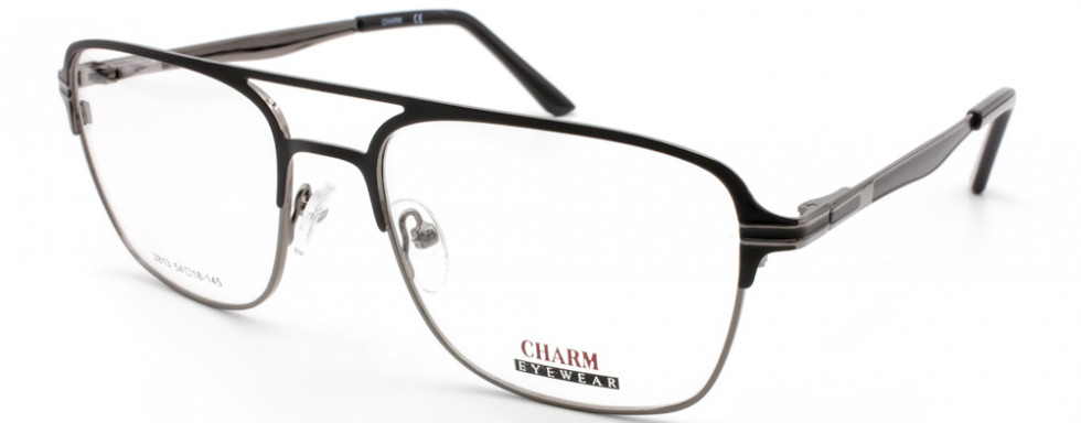 CHARM 2813 C3