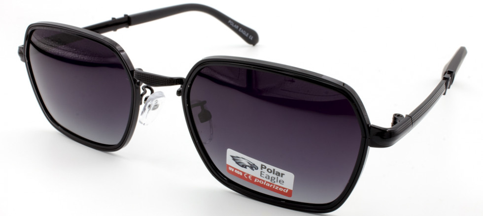 POLAR EAGLE 06311 C1
