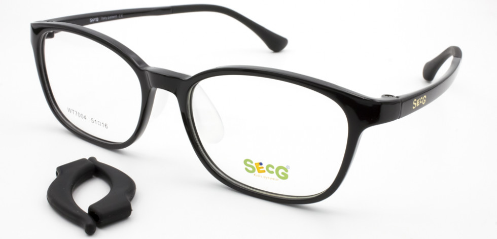 SECG 7004 C1
