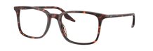 Ray-Ban 0RX5421 8423