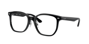 Ray-Ban 0RX5425D 2000