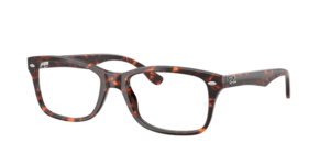 Ray-Ban 0RX5228 8423