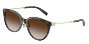 Tiffany & Co. 0TF4243D 81343B