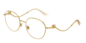 Dolce & Gabbana 0DG1365 02