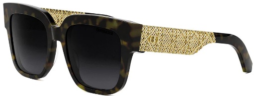 Dior DIORÉSILLE S1F 20A1 55*