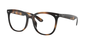 Ray-Ban 0RX4379VD 2012