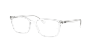 Ray-Ban 0RX7249I 2001