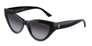 Jimmy Choo 0JC5004 504587