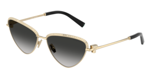 Tiffany & Co. 0TF3107KB 62203C