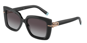 Tiffany & Co. 0TF4199 80013C