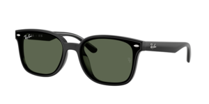 Ray-Ban 0RB4461D 601/71