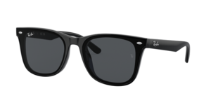 Ray-Ban 0RB4391D 601/87