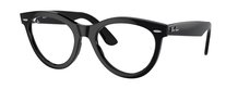 Ray-Ban 0RX2241V 2000