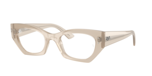 Ray-Ban 0RX7330 8433