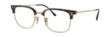 Ray-Ban 0RX7216 2012