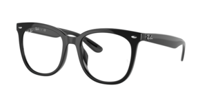 Ray-Ban 0RX4379VD 2000
