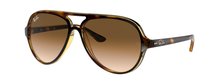Ray-Ban 0RB4125 710/51