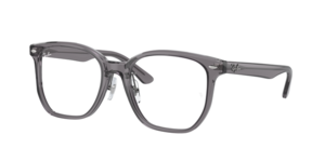 Ray-Ban 0RX5425D 8268