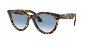 Ray-Ban 0RB2241 13323F