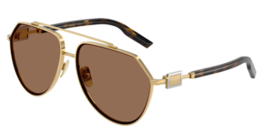 Dolce & Gabbana 0DG2315 02/73