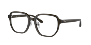 Ray-Ban 0RX5424D 8218