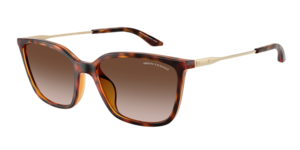 Armani Exchange 0AX4171SU 821313
