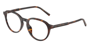 Dolce & Gabbana 0DG3444 502