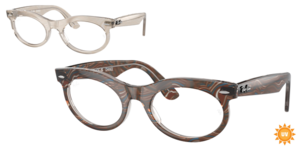Ray-Ban 0RX2242V 8291
