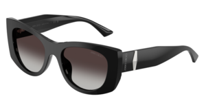Jimmy Choo 0JC5066U 50008G