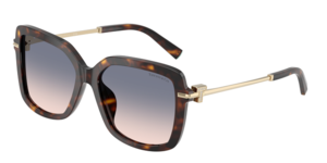 Tiffany & Co. 0TF4252B 801516