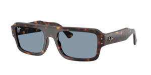 Ray-Ban 0RB4454 902/56