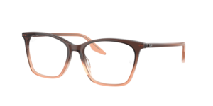 Ray-Ban 0RX5422 8312