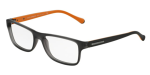 Dolce & Gabbana 0DG5009 2813