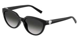 Tiffany & Co. 0TF4256D 80013C