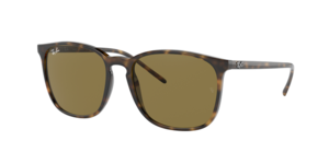 Ray-Ban 0RB4387 710/73