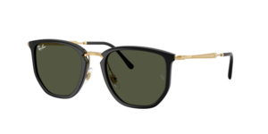 Ray-Ban 0RB4451 630631