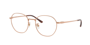 Ray-Ban 0RX8778D 1245