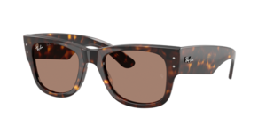 Ray-Ban 0RB0840S 902/1A