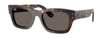 Ray-Ban 0RB7683S 902/B1